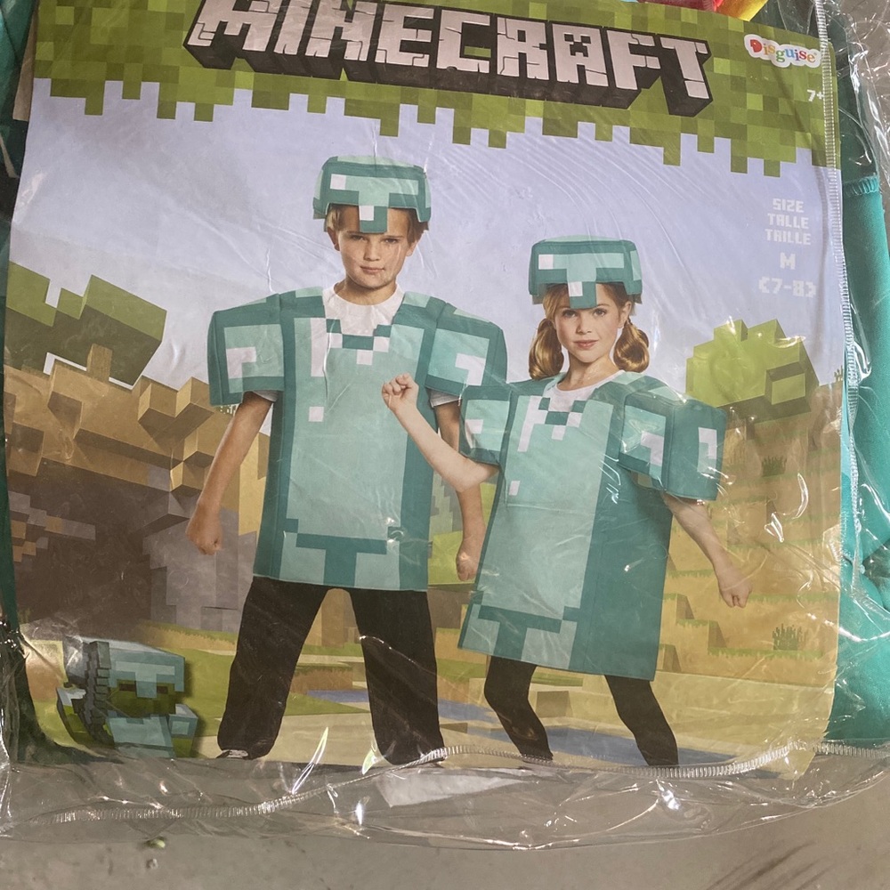 Minecraft costume